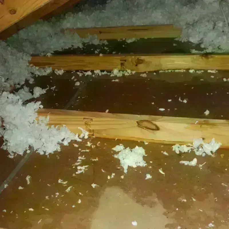 Attic Water Damage in University City, MO