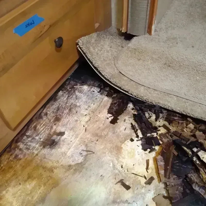 Best Wood Floor Water Damage Service in University City, MO